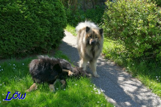 17.4.2019 - Dwix und Howard warten auf den Besuch